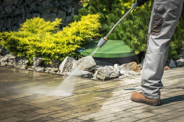 Best Dumpster Area Cleaning  in Sterling Ranch, CO