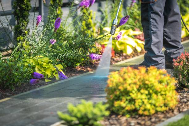 Best Sidewalk and Walkway Cleaning  in Sterling Ranch, CO
