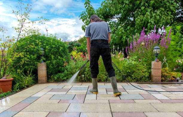 Animal Enclosure Cleaning in Sterling Ranch, CO